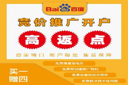 百度竞价SEM深度解析：某行业成功推广经验