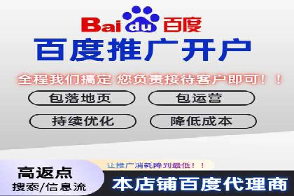 百度竞价广告成功案例：如何实现ROI最大化